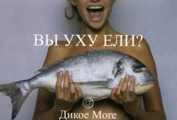 Провокационный маркетинг