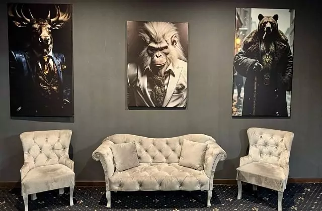 Loft 415 Baz