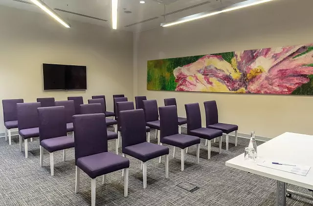 Novotel Sheremetyevo Airport — Hall «Domodedovo»